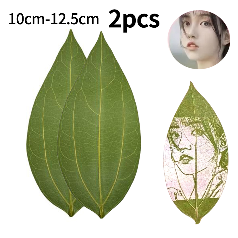 Industrial Laser Technology - 2pcs of leaves for laser engraving
