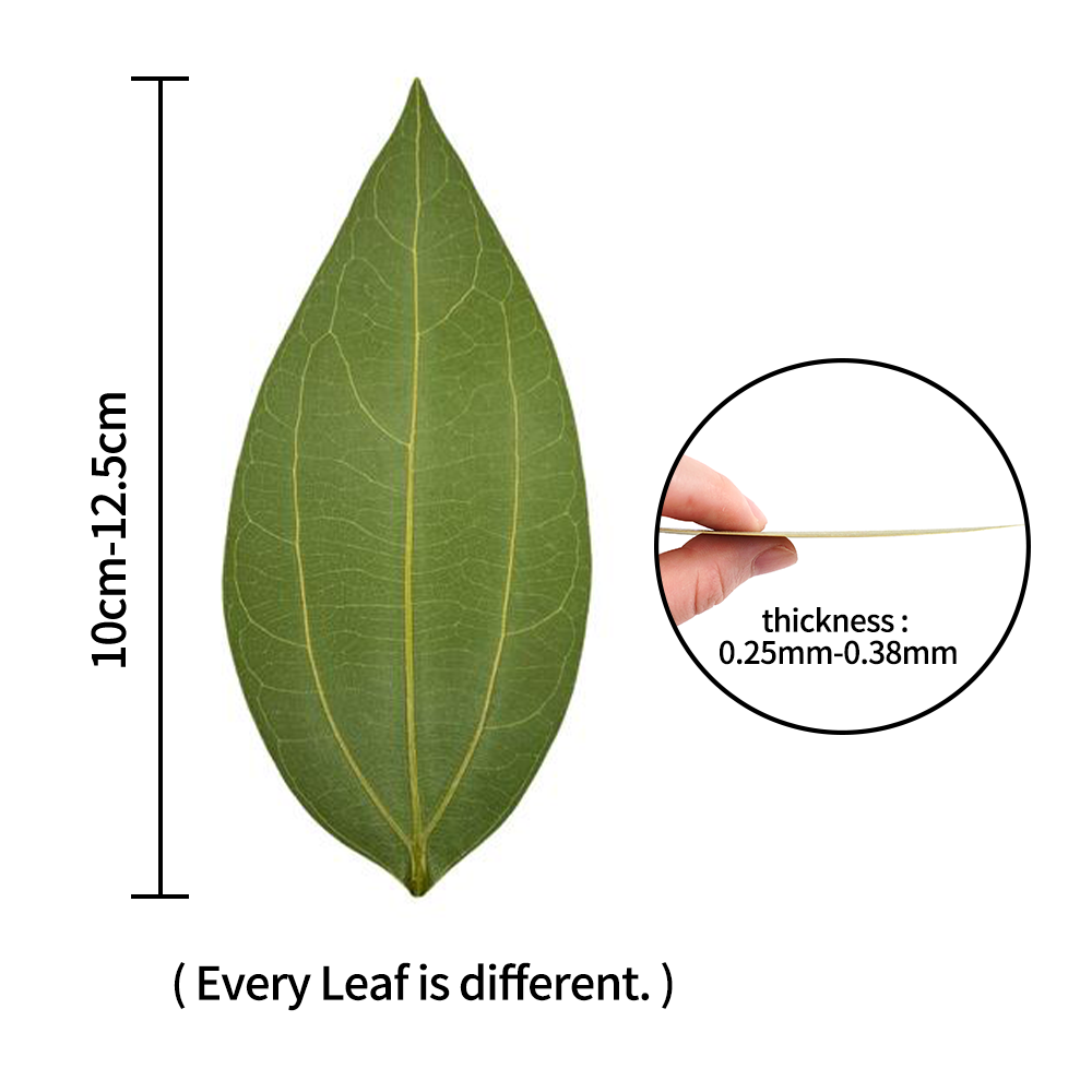 2pcs of leaves for laser engra - đánh giá và giá Industrial Laser Technology